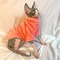 Fashionable Cat And Dog Winter Sweater Pet Hoodie Warm Knit Outfit 3