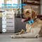 Pet Dog Anti Barking Device USB Rechargeable Ultrasonic Training Collar 1