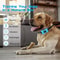 Pet Dog Anti Barking Device USB Rechargeable Ultrasonic Training Collar 1