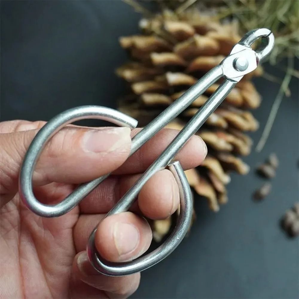 Pine Nut Clamp Practical Nut Opener Kitchen Gadget Durable Sheller 1