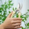 Steel Gardening Shears Garden Pruning Shears Tree Branch Shears Outdoor Gardening Tools 5