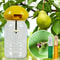 Fruit Fly Attractant Liquid For Home Kitchen Pest Control 0