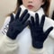 Women Winter Mink Velvet Five Finger Gloves Plush Warm Cold Proof 8