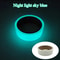 Cat Luminous Adhesive Tape Self Luminous Fluorescent Strips For Home And Outdoor Use 6