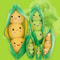 Plush Pea Pod Toy For Kids 25cm Soft Plant Pillow Gift 4