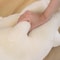 Funny Goose Plush Toy 5090130 Cm Soft Duck Pillow Gift For Kids And Girlfriend 2