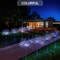 LED Garden Lawn Landscape Holiday String Lights 7
