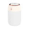 Portable Mini USB Air Humidifier Aroma Diffuser LED Cool Light 330ml 6