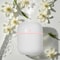 USB Humidifier Aroma Diffuser Cool Mist Sprayer 4