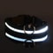 Nylon LED Night Safety Glow Dog Leash And Collar 6