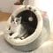 Deep Sleep Cat Bed Foldable Washable Pet Cave House 7