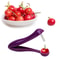 Cherry And Olive Pitter Seed Remover With Easy Squeeze Grip For Kitchen Use 0
