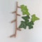 3D Printed Ivy Fridge Magnet With Articulating Stems For Home And Locker Decoration 4