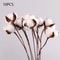Artificial Cotton Flower Branch With Eucalyptus Leaves Home Wedding Decor 8