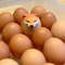 Shiba Inu Egg Shape Desk Decor Cute PVC Dog Ornament For Home And Office 0
