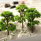 Model Trees Ornaments Plastic Diorama Scenery Home Room Decoration 4