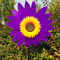 Colorful Sunflower Windmill Pinwheel Garden Spinner 13