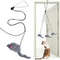 Interactive Door Hanging Cat Toy With Black Mouse Teaser 0