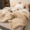 Super Soft Imitation Lambswool Blanket Autumn Winter Double Queen Blanket 6