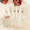 Womens Thickened Mink Fur Socks 5Pair Set Warm Plush Home Sleepwear 9
