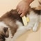 Pet Comb Detangling Brush With Self Cleaning Design For Cats And Dogs 2