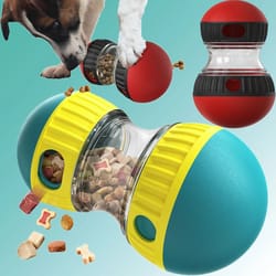 treat enrichment pet toy slow feeder ball for dogs