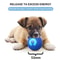 Interactive Automatic Rolling Dog Toy Ball Rechargeable Pet Play Ball 1