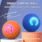 Interactive Automatic Rolling Dog Toy Ball Rechargeable Pet Play Ball 2