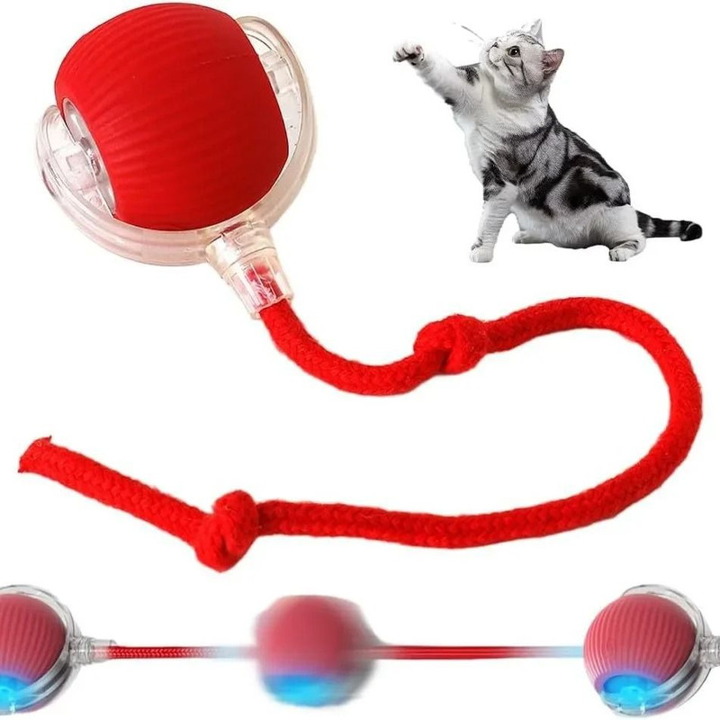 Automatic Rolling Interactive Pet Ball Rechargeable Cat And Dog Toy 3
