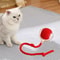 Automatic Rolling Interactive Pet Ball Rechargeable Cat And Dog Toy 4