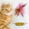 Interactive Feather Teaser Stick With Bell Cat Toy 1