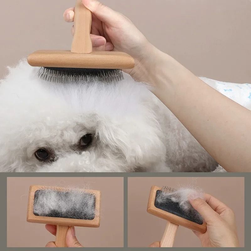 Pet Hair Remover Brush Dog Grooming Comb And Cat Massage Brush 1