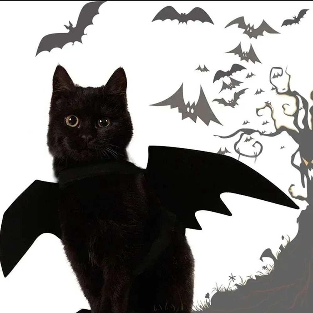 Cute Pet Bat Wings Costume For Cats And Dogs 2