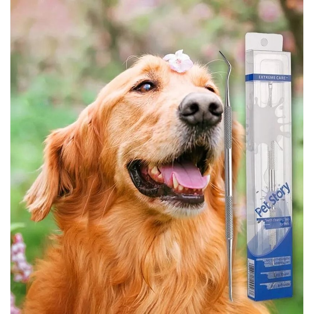 Stainless Steel Pet Dental Scraper Tooth Cleaner And Tartar Remover 3