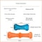Dog Chew Toy Bite Resistant Toothbrush Bone For Interactive Play 5