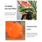 Thickened High Pressure Garden Watering Can Pneumatic Spray Bottle For Plants And Cleaning 1