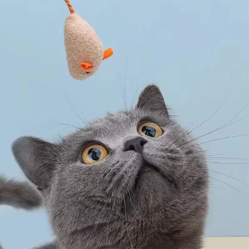 Simulated Plush Mouse Cat Toy Set Durable Scratch Resistant Cat Play Toy 1
