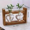 Transparent Heart Shaped Glass Vase With Wooden Frame For Hydroponic Plant Propagation 7