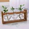Transparent Heart Shaped Glass Vase With Wooden Frame For Hydroponic Plant Propagation 8