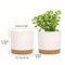 2 Pack Indoor Flower Pots With Drainage Holes And Removable Base 7