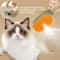 Pet Steam Brush Three In One Grooming Comb For Cats And Dogs 3
