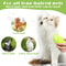Pet Steam Brush Three In One Grooming Comb For Cats And Dogs 5