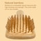 Natural Bamboo Air Cushion Hair Brush Wooden Massage Comb For Smoothing And Detangling 3