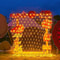 Christmas Net Mesh LED String Light For Holiday Party And Garden Decoration 1