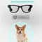 Smart AI Bluetooth Glasses With 4K Camera And Voice Control 4