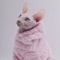 Soft Double Sided Fluffy Winter Jacket For Sphynx And Hairless Cats 5