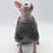 Soft Double Sided Fluffy Winter Jacket For Sphynx And Hairless Cats 7