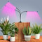 LED USB Grow Light Full Spectrum Clip Lamp For Indoor Plants And Seedlings 3