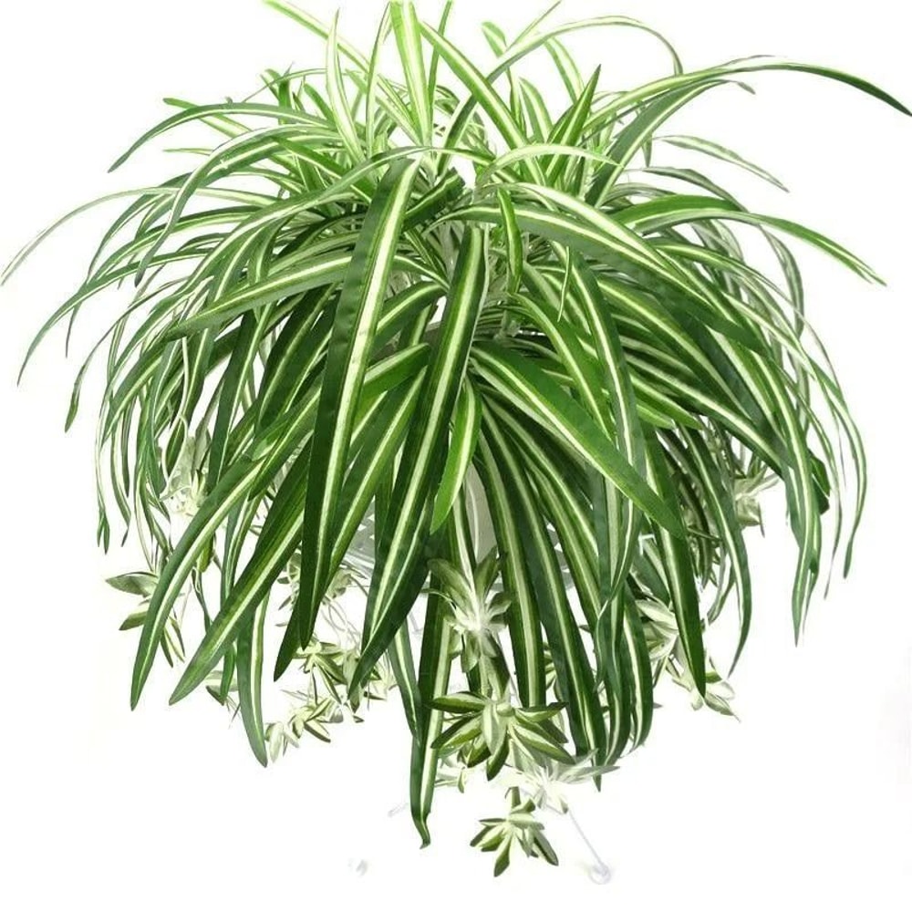 Artificial Hanging Green Plant Potted Chlorophytum Wall Decor 65cm PVC Simulation Leaves 1