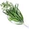 Artificial Hanging Green Plant Potted Chlorophytum Wall Decor 65cm PVC Simulation Leaves 3